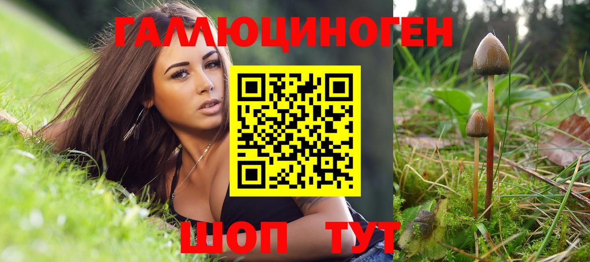 Псилоцибиновые грибы Psilocybe  Вход с VPN  Галлюциногенные грибы прущие грибы  Тосно 