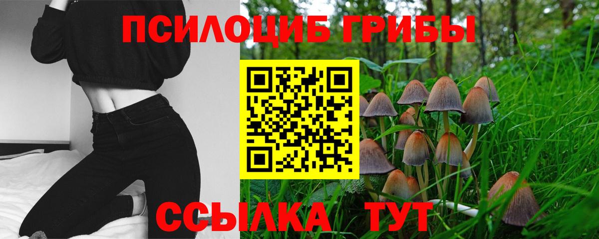 Псилоцибиновые грибы GOLDEN TEACHER Тосно